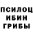 Псилоцибиновые грибы ЛСД Yana Ra