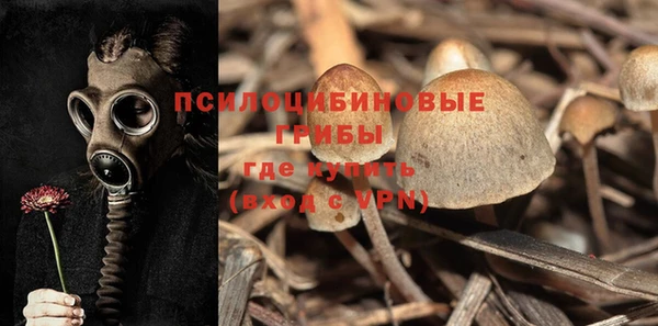 ALPHA PVP Алзамай